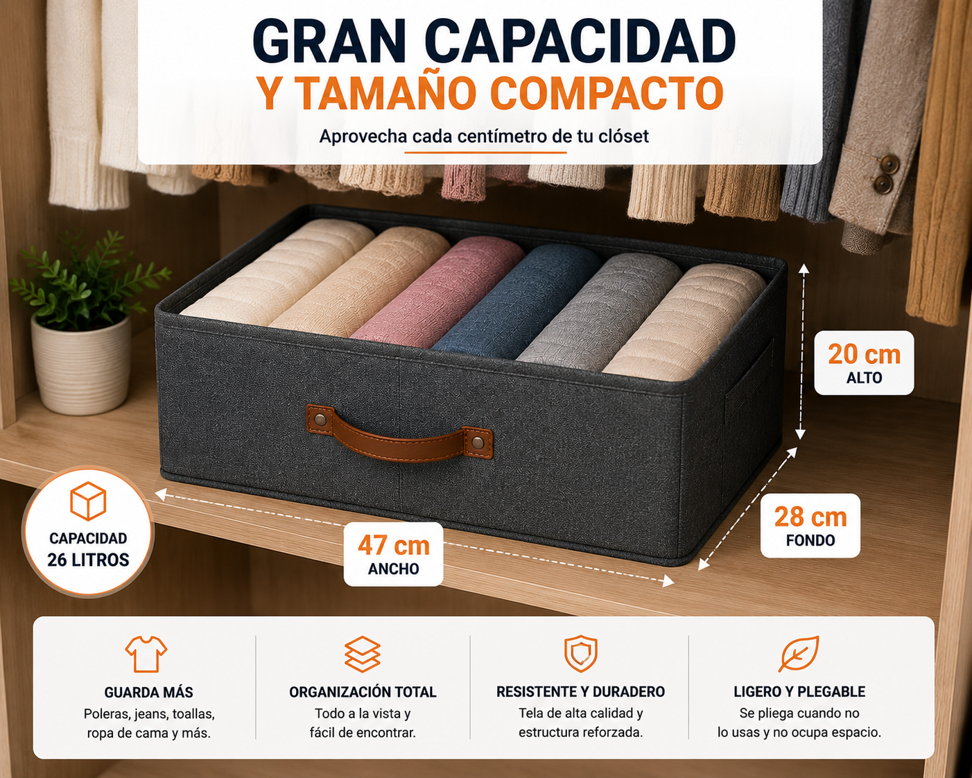 Medidas y capacidad del organizador